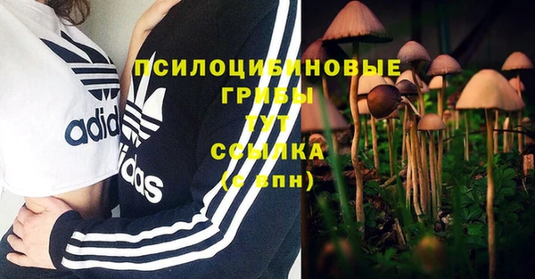 синтетический гашиш Сафоново