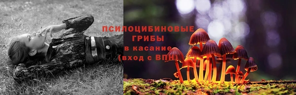 бутират Баксан