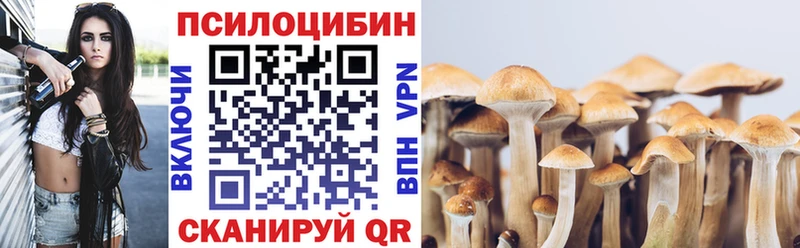 Галлюциногенные грибы ЛСД Бобров